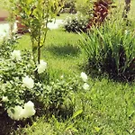 Il Giardino Mediterraneo Bed & Breakfast Acquaviva Picena