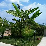 Bed & Breakfast Il Giardino Mediterraneo