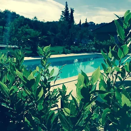 Il Giardino Mediterraneo