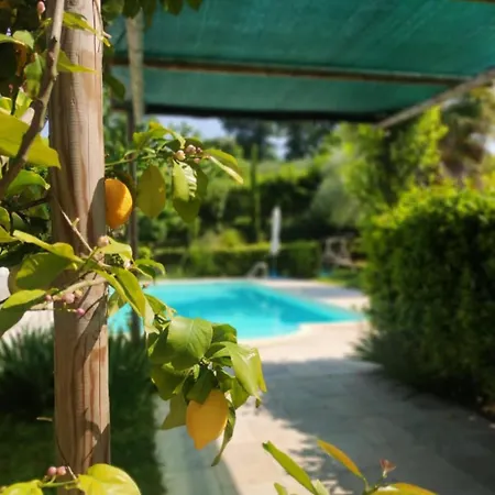 Il Giardino Mediterraneo אקווביבה פיצ'נה