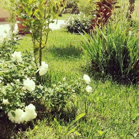 Il Giardino Mediterraneo Nocleg ze śniadaniem Acquaviva Picena