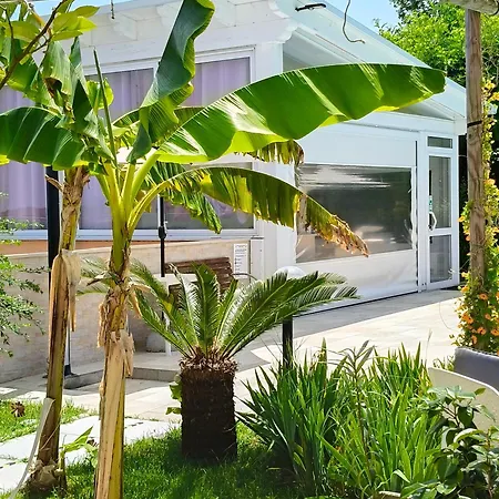 Il Giardino Mediterraneo 4*