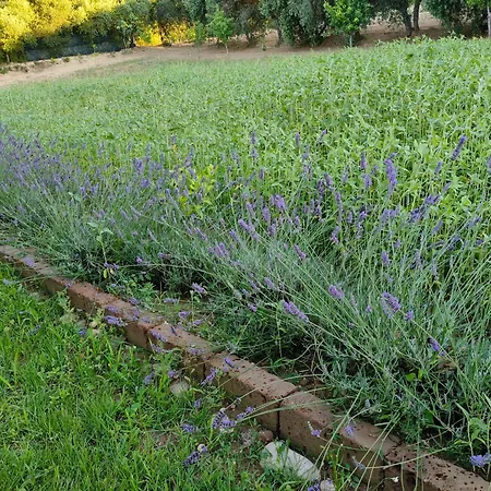 Il Giardino Mediterraneo 4*