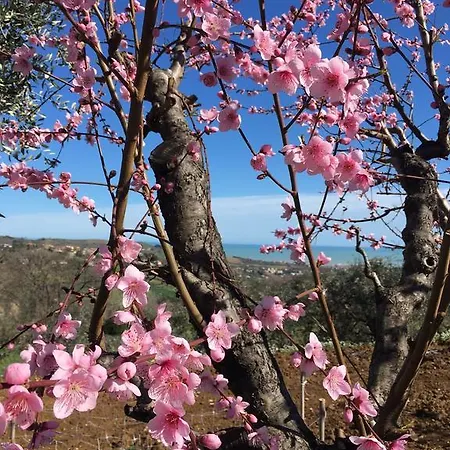 Il Giardino Mediterraneo Bed & Breakfast