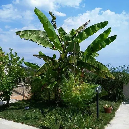 Bed and Breakfast Il Giardino Mediterraneo
