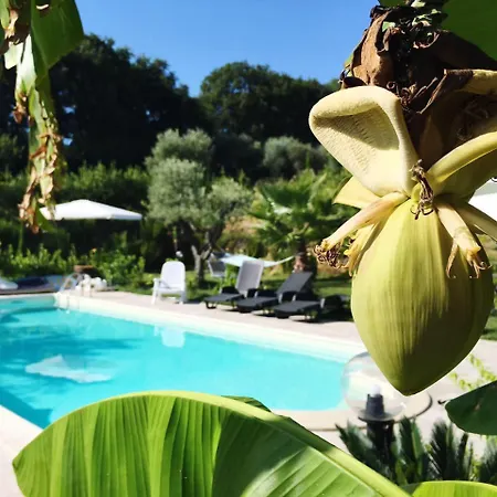 Il Giardino Mediterraneo Nocleg ze śniadaniem Acquaviva Picena